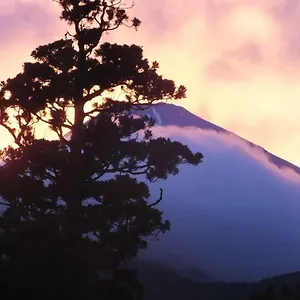 **** Ryokan Hananoyado Fukuya Japan